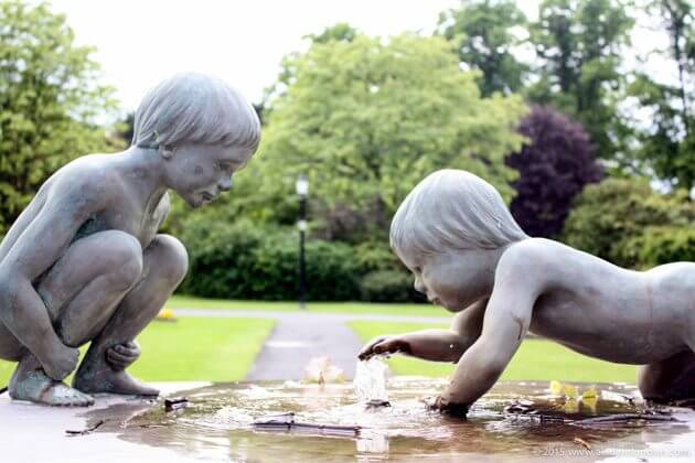 Garden in Harrogate