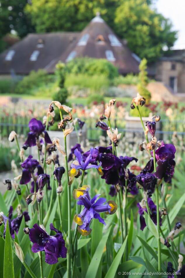 Holland Park Gardens