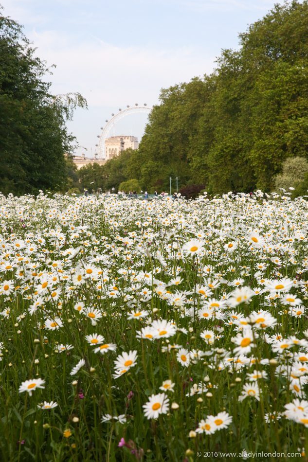 St James's Park, London