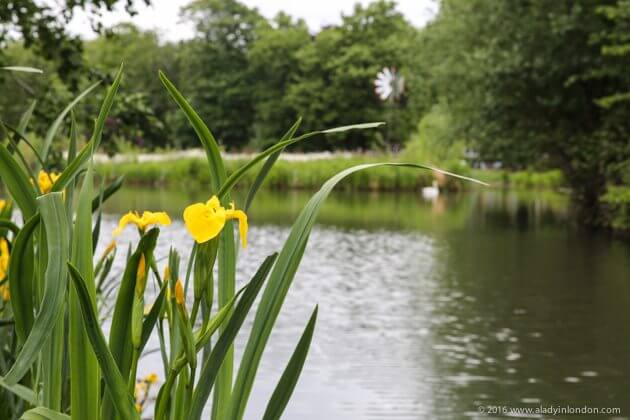 Victoria Park, London