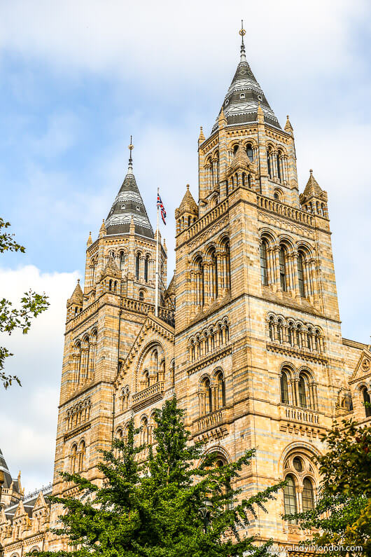 Natural History Museum, London