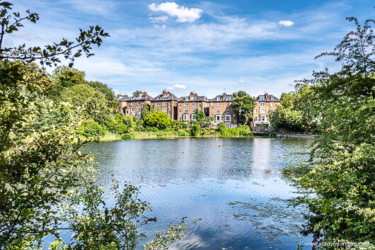 Hampstead Heath