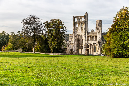 Jumieges Abbey, France
