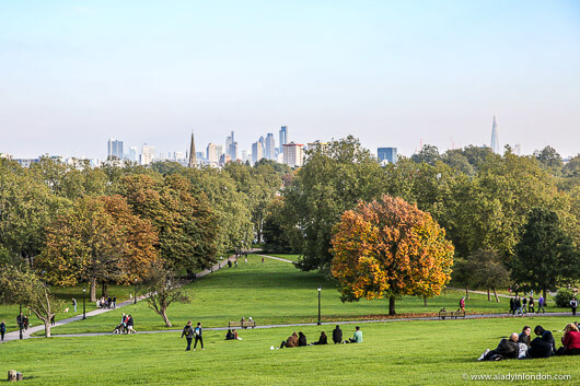 Primrose Hill