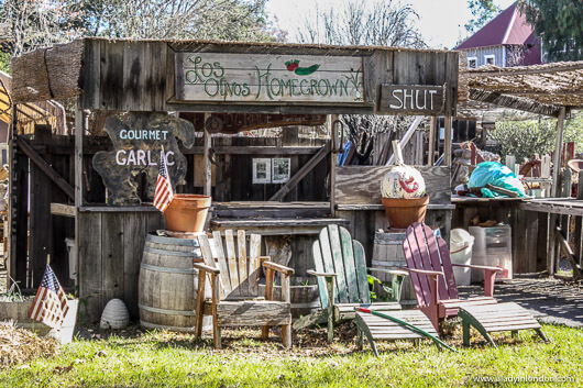 Shop in California