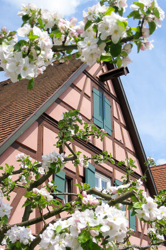 Dinkelsbuhl, Germany on the Romantic Road