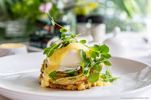 Corn Cake with Poached Eggs and Hollandaise Sauce