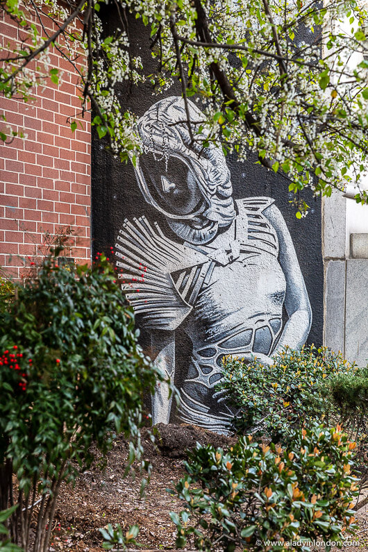 Street Art in Sacramento