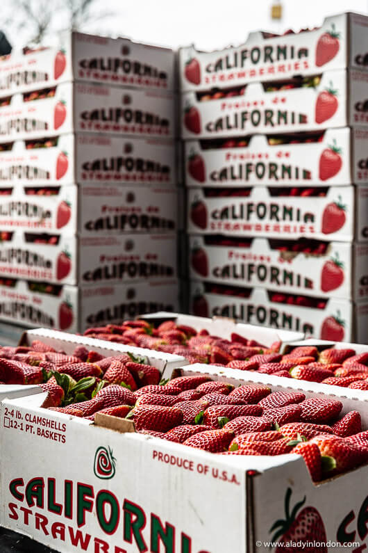Farmers' Market in Sacramento