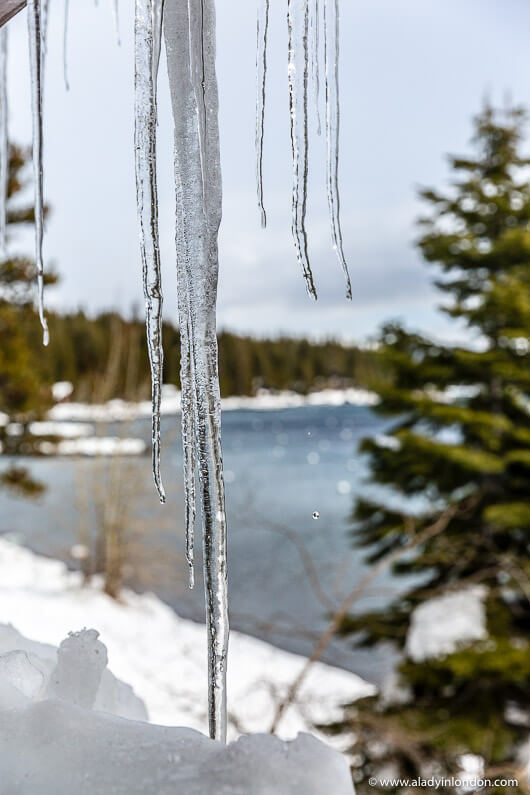 Icicles in Lake Tahoe