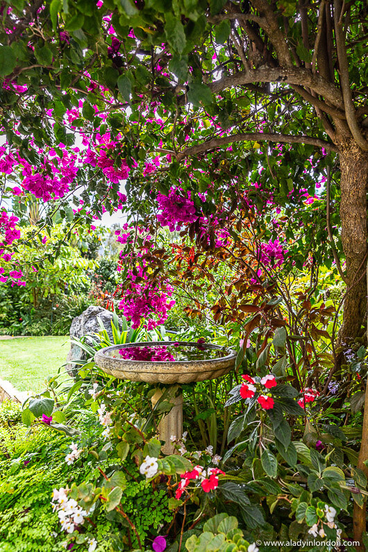 Garden at The Last Word Constantia