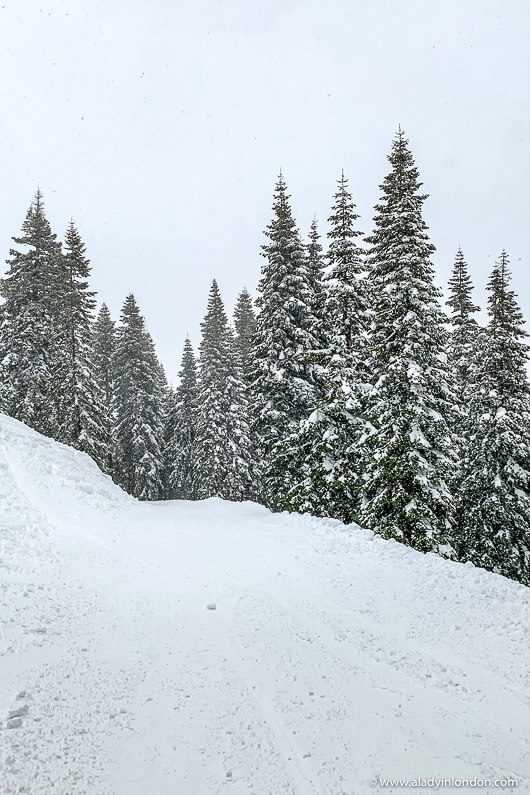 Skiing in Lake Tahoe