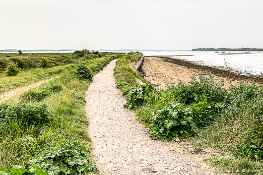 Walking Path in Prinsted, England