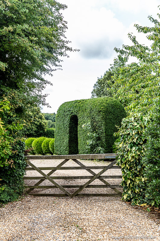 Garden Hedge in Steventon, Hampshire