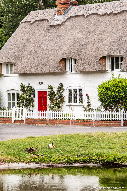 Cottage in North Waltham, England