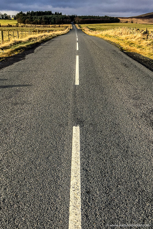Country Road in the Scottish Borders