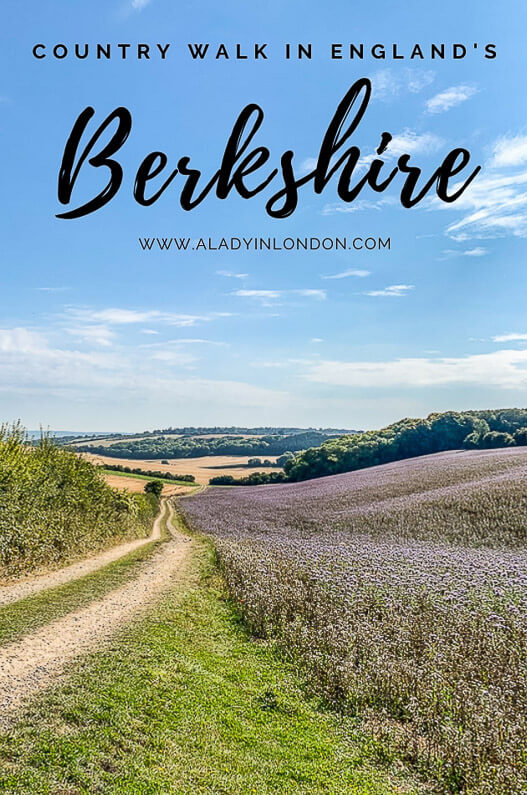 Walks in Berkshire