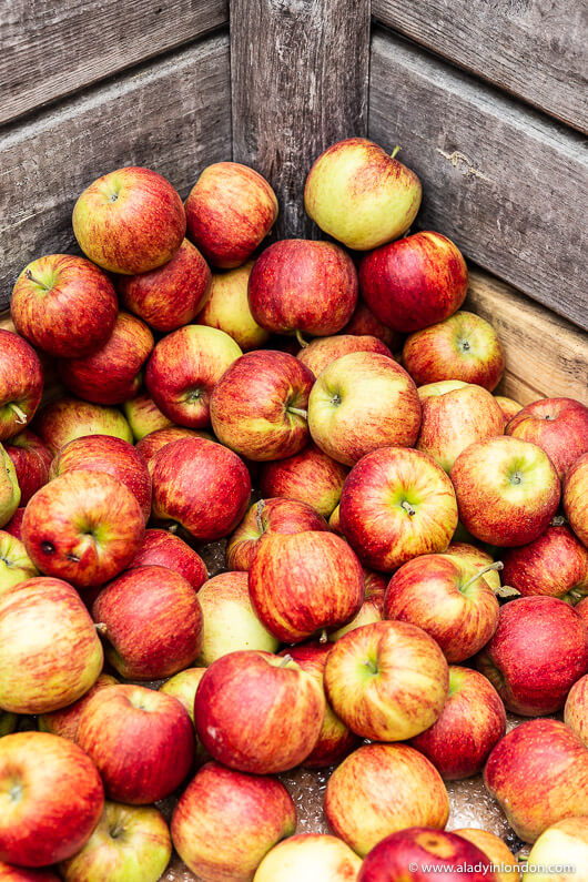 Apples at a Market in Normandy