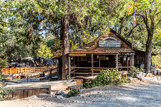Gold Panning in Columbia, California