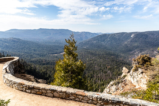 Mariposa Grove of Giant Sequoias in Yosemite National Park