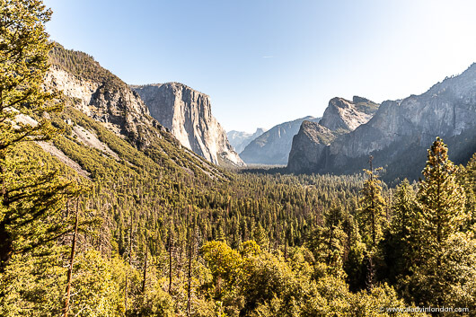 View of Half Dome in Yosemite National Park