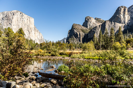 Ansel Adams View in Yosemite National Park