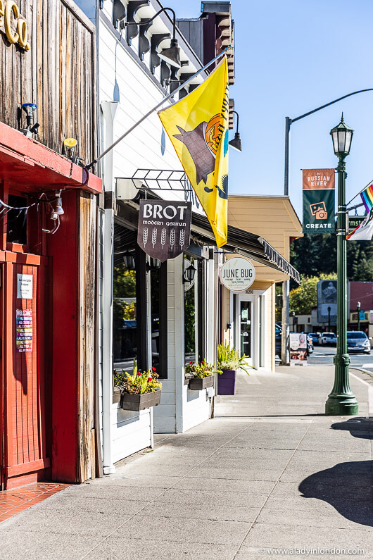 Street in Guerneville, California