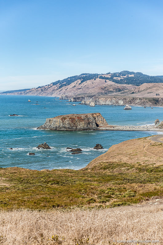 Goat Rock State Beach in Sonoma