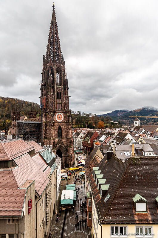 Freiburg Cathedral