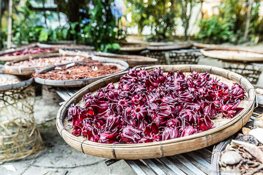 Thai Cooking Herbs