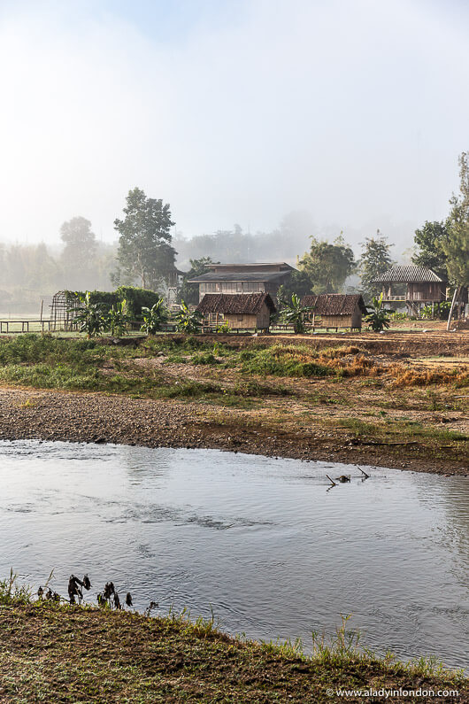 River in Pai, Thailand