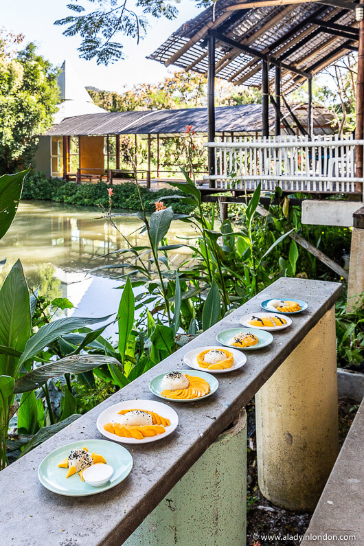 Cooking Class in Pai, Thailand