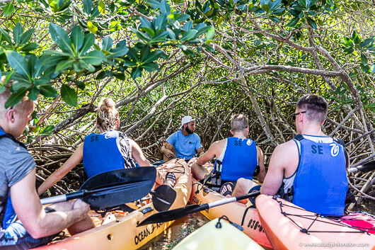 Kayaking in the Cayman Islands
