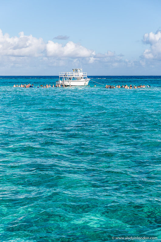 Stingray City on Grand Cayman