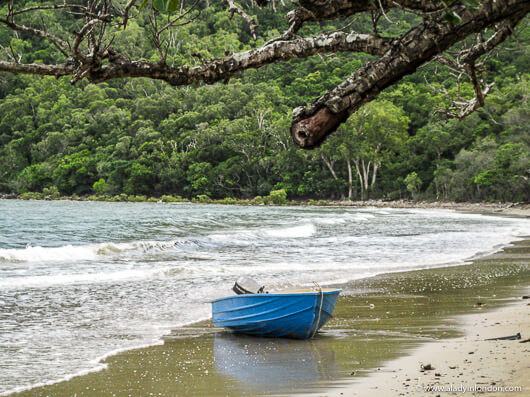 Daintree National Park