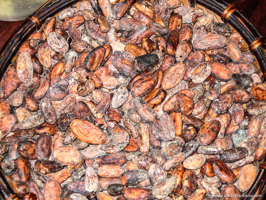 Cocoa at Scharffen Berger Chocolate Factory in Berkeley, California