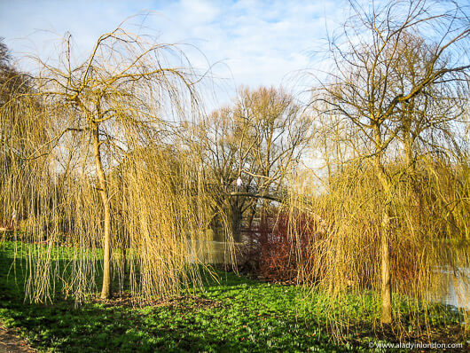 Park in Oxford