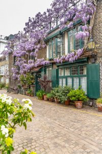 Best Mews in London - You Have to See These London Mews Streets