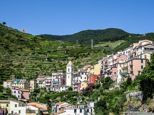 Cinque Terre View