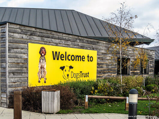 Dogs Trust