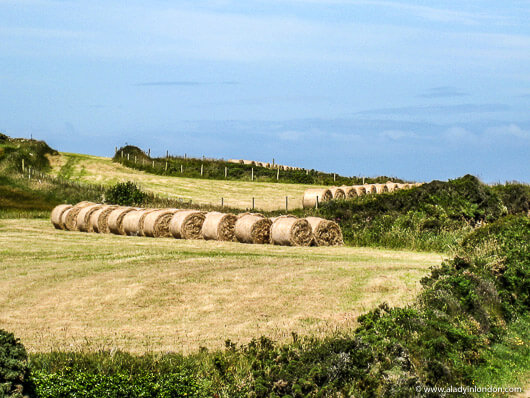 Hay Bales in Fields in Wales