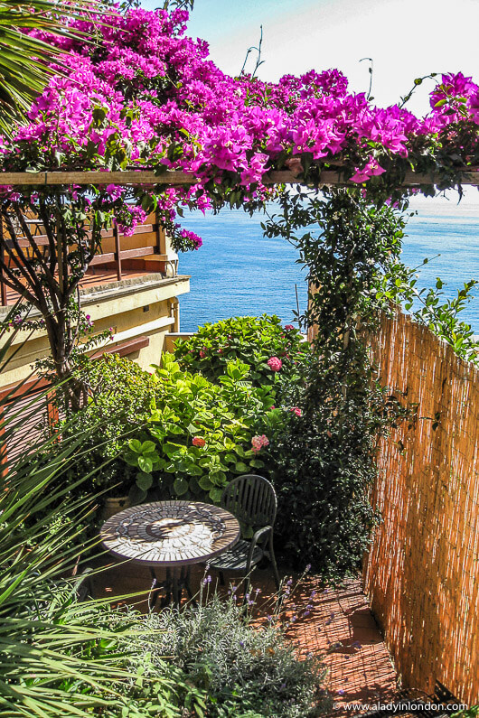 Terrace with Flowers in Manarola, Italy