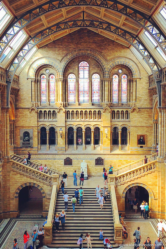 Natural History Museum in London