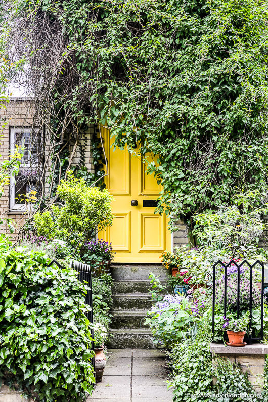 Door in Hampstead, North London