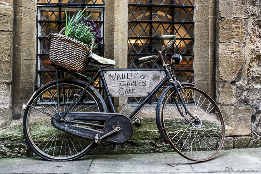 Bicycle by the Vaults and Garden Cafe in Oxford