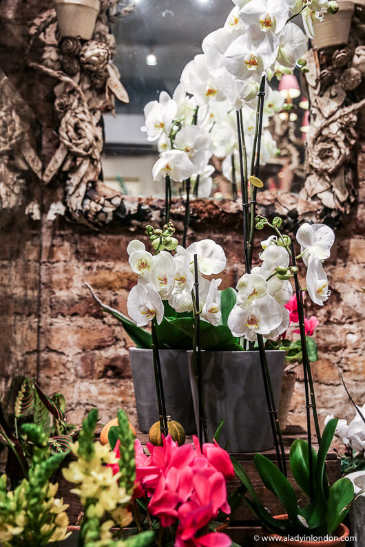 Shepherd Market Florist