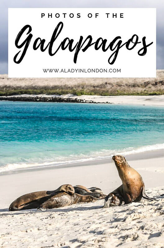 Galapagos Cruise Photos