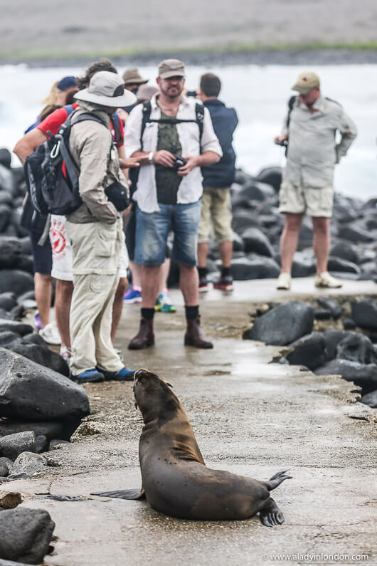Tour Group in the Galapagos