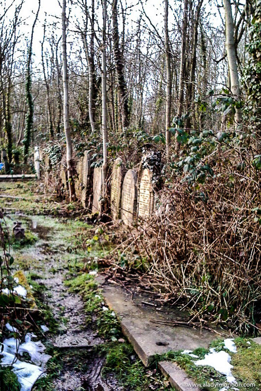 Gravestones in Highgate Cemetery