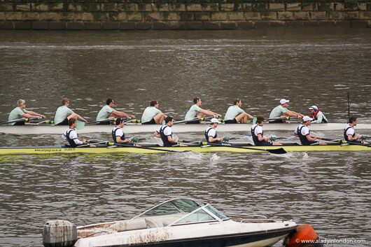 Rowers at the Oxford Cambridge Boat Race